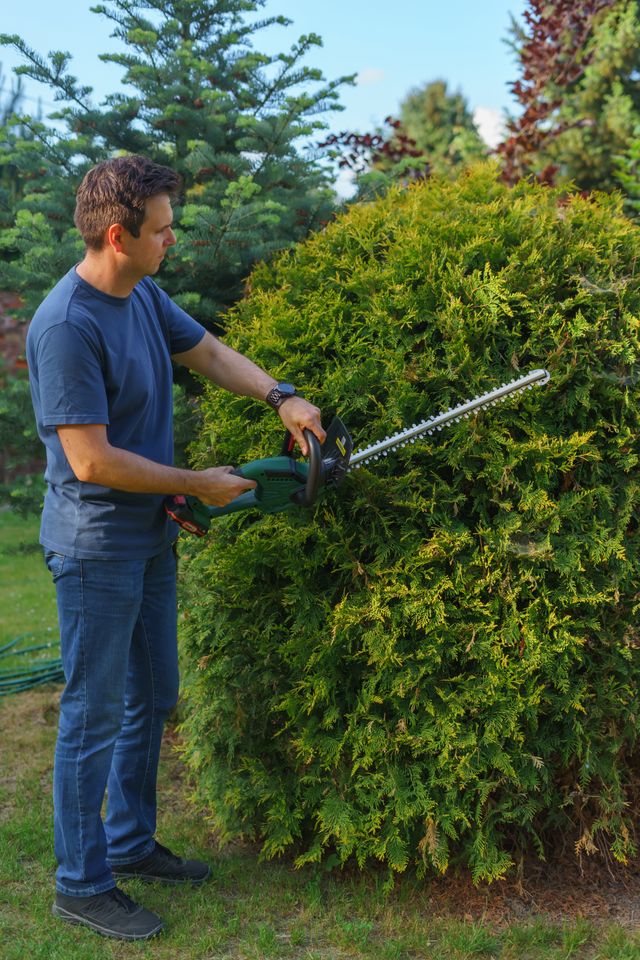 Lawn mowing in progress