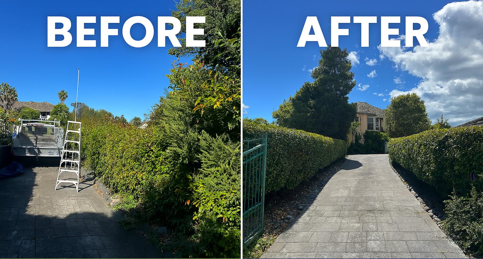 Hedges before shaping